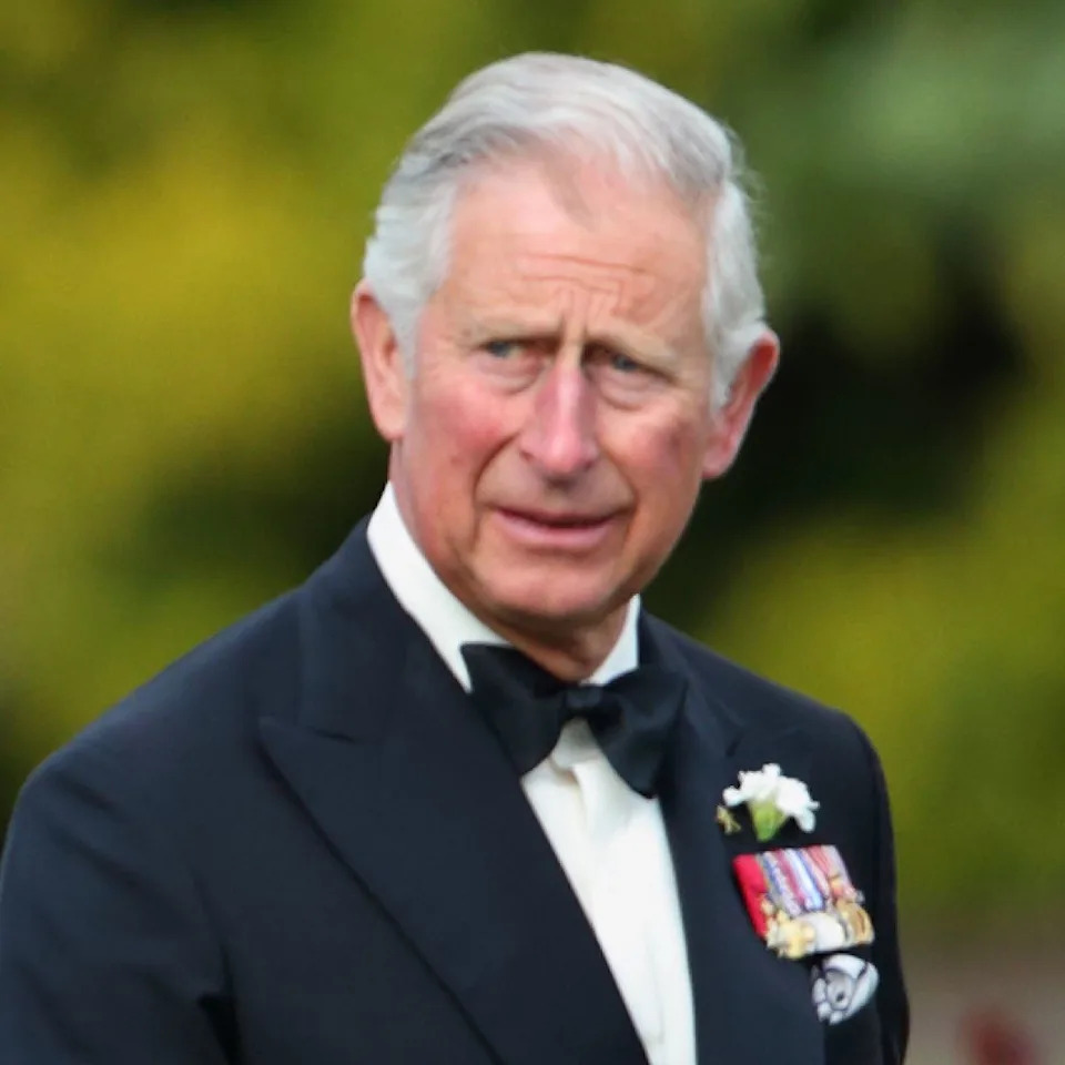  Prince Harry wears a suit with military medals and points while dad King Charles looks on while wearing a tuxedo. 