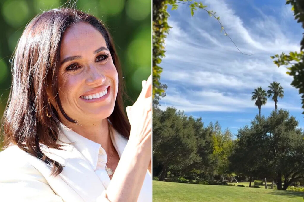 Yahoo entertainment home