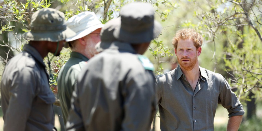 Chad has revoked the mandate of a nonprofit conservation group tied to Prince Harry to manage its wildlife reserves, accusing the charity of not doing enough to curb poaching.
