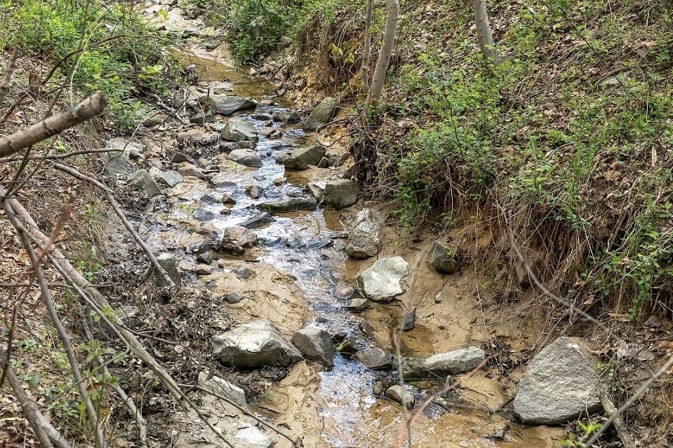 Chinn Park Stream Project: A Win for Nature and Neighbors Chinn Park Stream Project: A Win for Nature and Neighbors