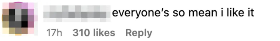 Comment from user: "everyone's so mean i like it" with 310 likes and 17 hours ago