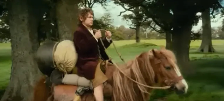 Person dressed in medieval-style costume rides a pony through a wooded area, holding reins. Large bags are strapped to the pony's sides