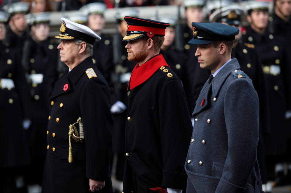 london, england november 12: (l r) prince andrew, duke of york, prince harry and prince william, duke of cambridge attend the annual remembrance sunday memorial on november 12, 2017 in london, england. the prince of wales, senior politicians, including the british prime minister and representatives from the armed forces pay tribute to those who have suffered or died at war. (photo by jack taylor/getty images)