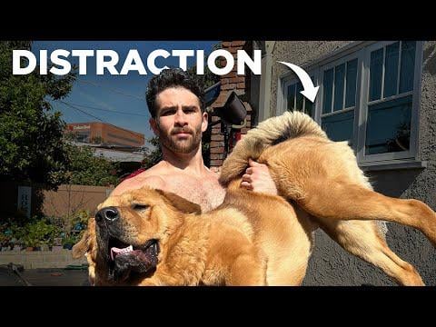 Every Hasan Piker Controversy is a Distraction