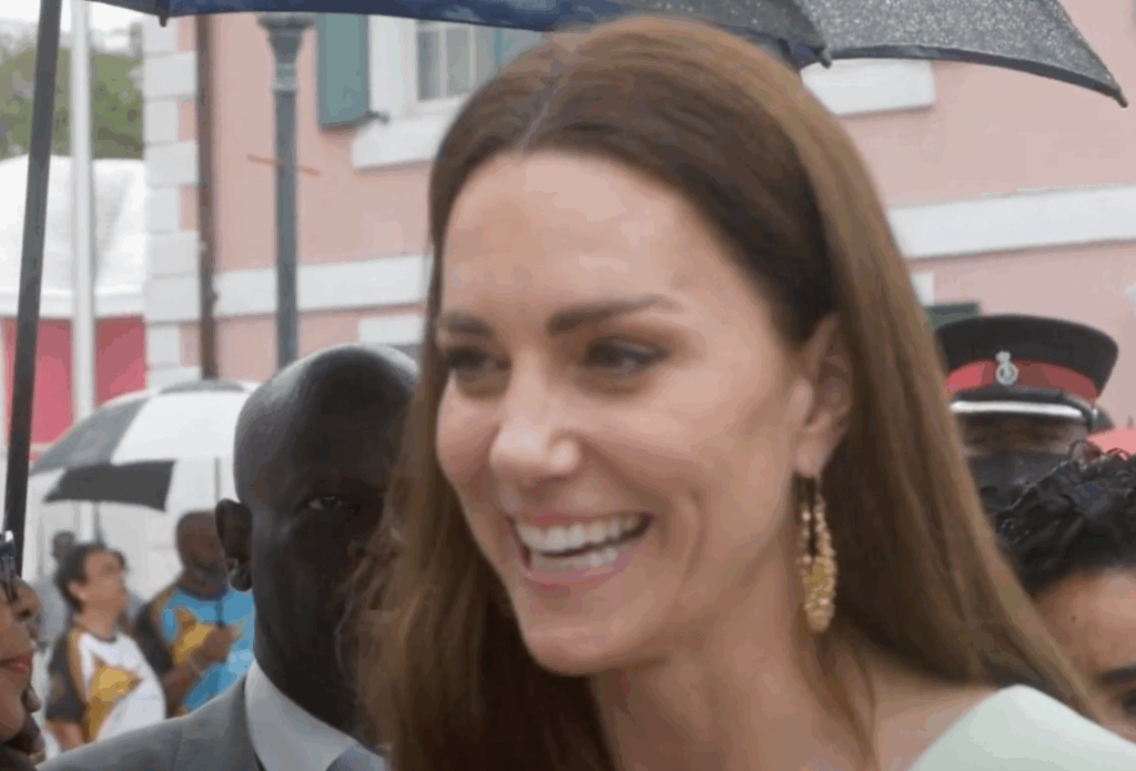 Kate Middleton's Blonde Transformation: The…