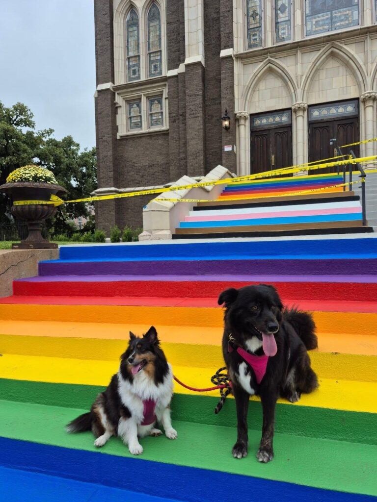 Oak Lawn United Methodist Church in Dallas Texas responded to Governor Greg Abbott’s order to remove rainbow crosswalks across the state by painting its front steps in rainbow colors