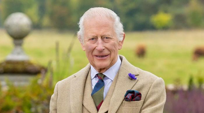 King Charles called ‘man in grey suit' after Harry's allegation in presidential meeting