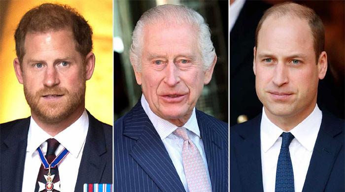 Prince Harry 'wants' same level of protection as William: 'King Charles is exhausted'