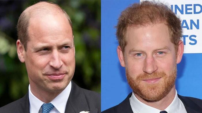 Prince William to ‘follow King's playbook' on Harry, Meghan titles?