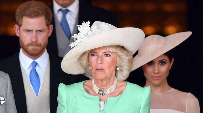 Queen Camilla says Meghan Markle’s ‘dangerous’ for King Charles peace Queen Camilla says Meghan Markle's ‘dangerous' for King Charles peace