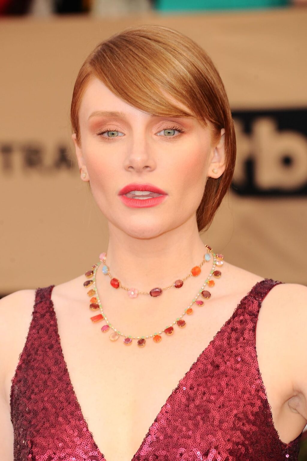 Bryce Dallas Howard | 23rd Annual Screen Actors Guild Awards 29th January 2017