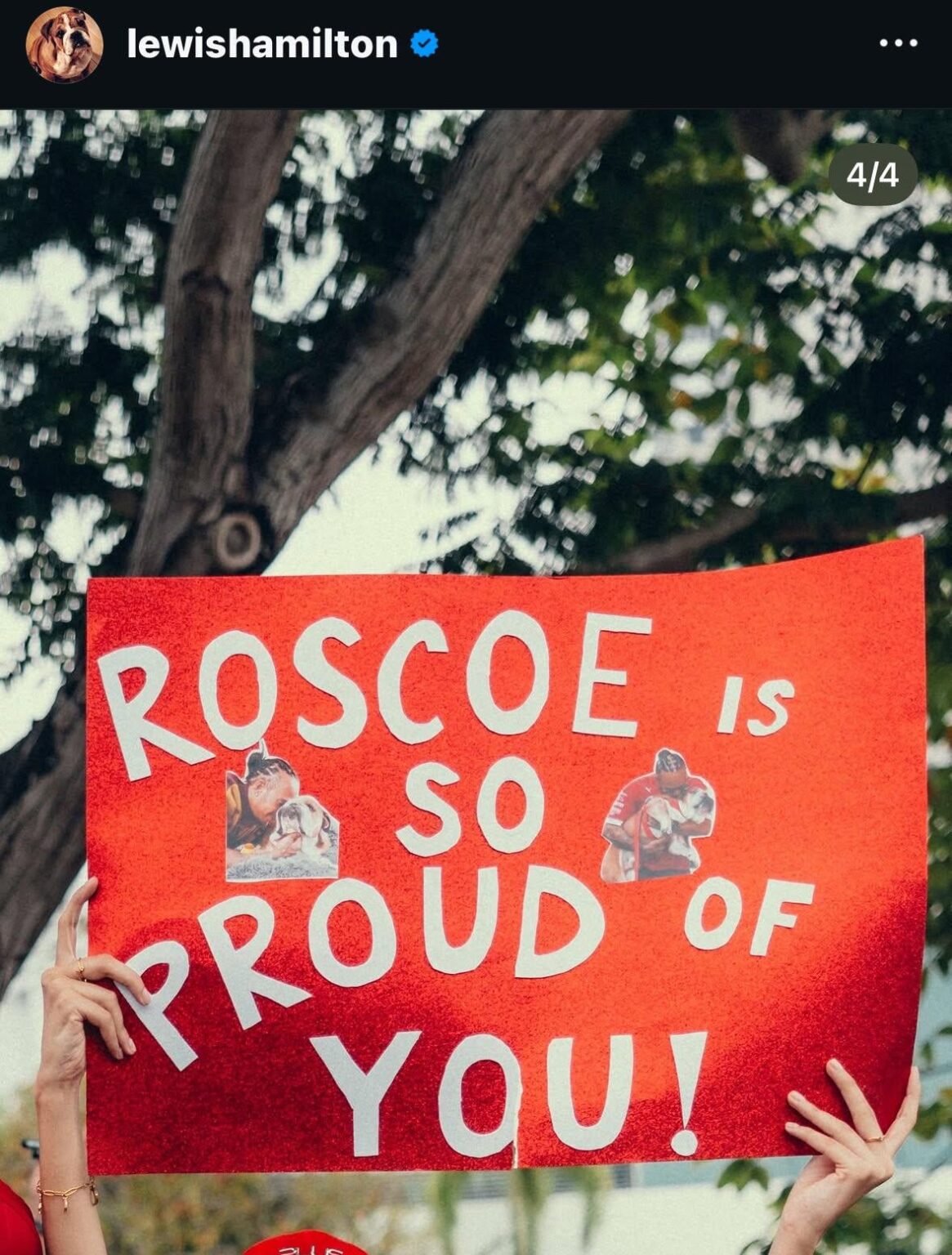 Lewis Hamilton posted this poster about Roscoe on instagram