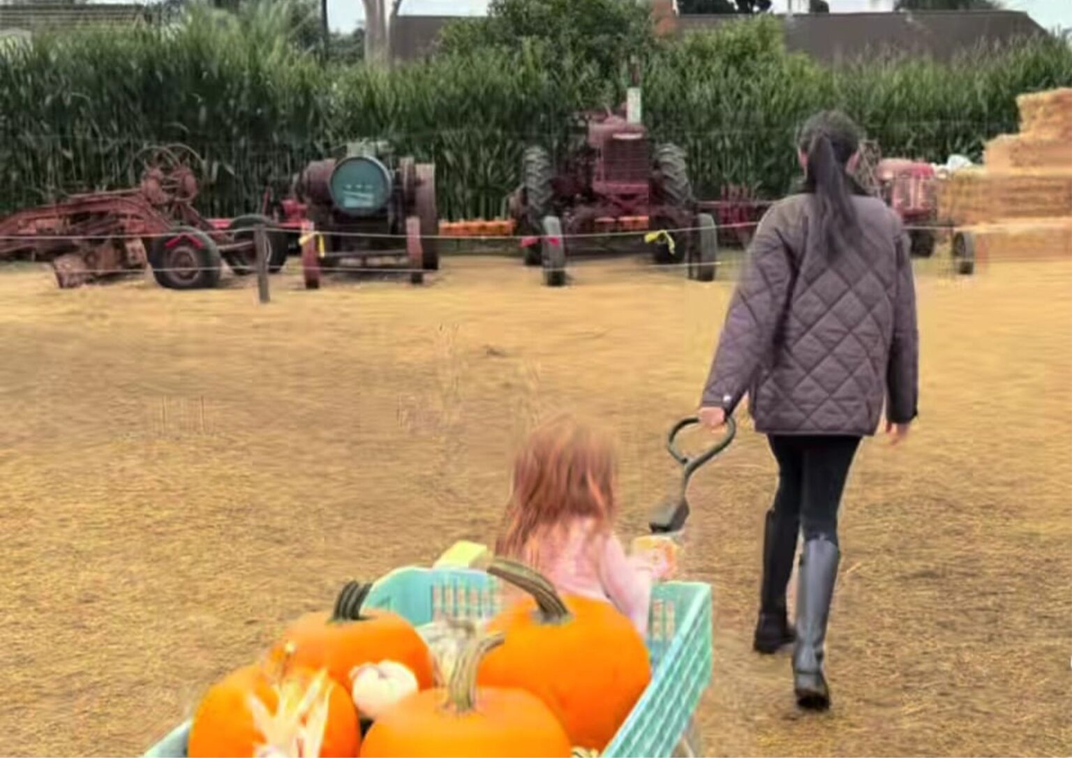 Meghan Markle Shares Rare Glimpse of Family Halloween Fun with Prince Harry, Archie and Lilibet in Montecito Meghan Markle Halloween