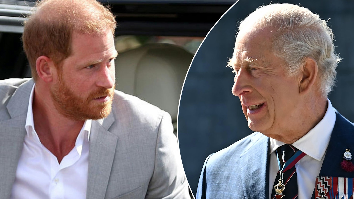 prince harry and king charles
