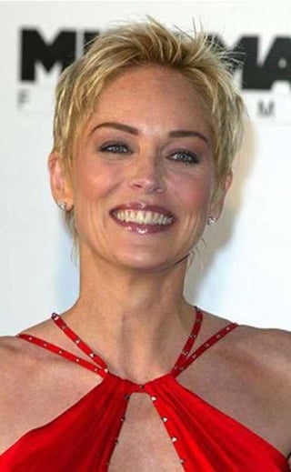 SHARON STONE , THE AMFAR AIDS CHARITY GALA DINNER AT LE MOULIN DE MOUGINS RESTAURANT, CANNES, FRANCE - 20 MAY 2004