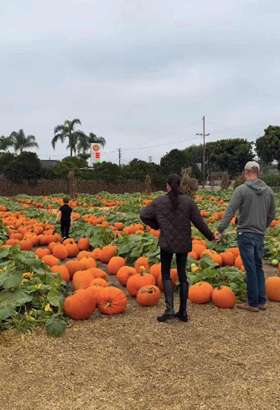 family exploring a pumpkin patch family exploring a pumpkin patch