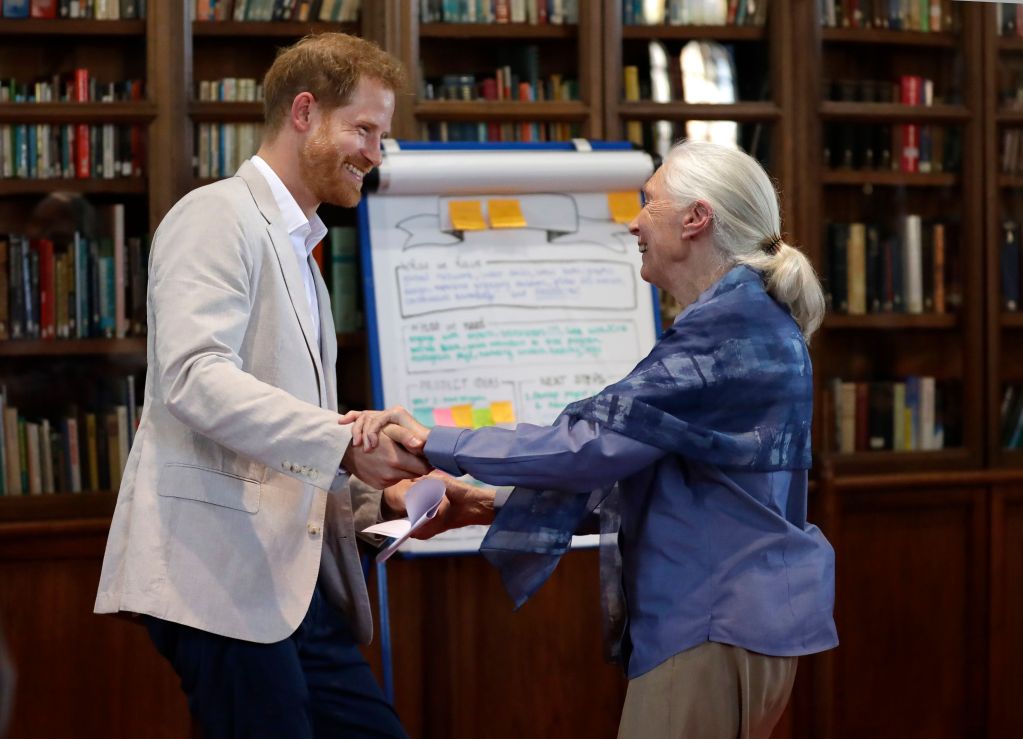Prince Harry meeting with Jane Goodall