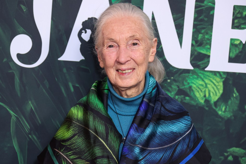 Jane Goodall smiling at event