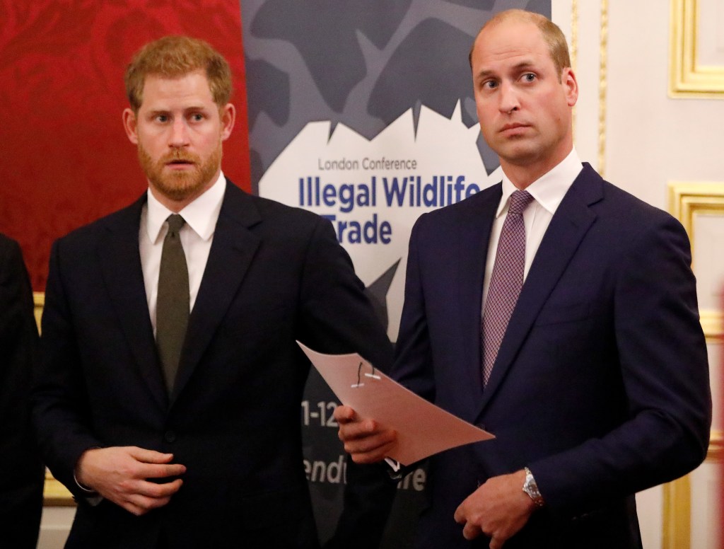 Prince Harry and Prince William frowning side by side