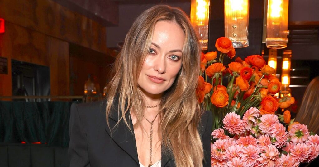 Olivia Wilde Wore A Sheer Top To 'W' Magazine & Chloé's Dinner Party