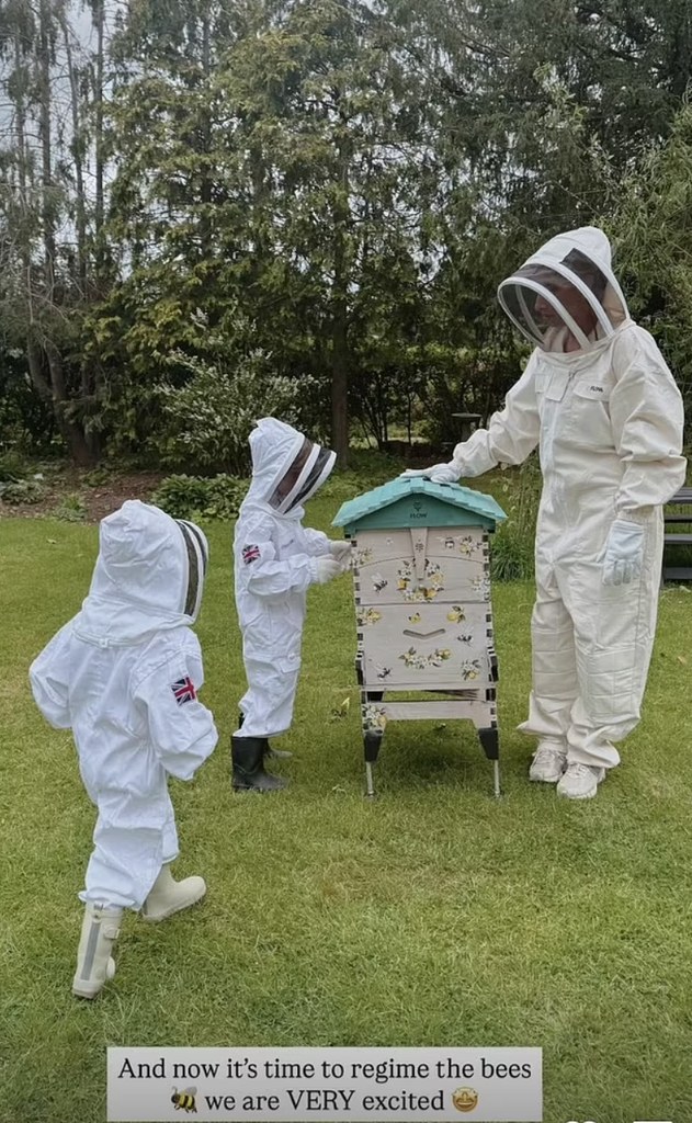 Stacey Solomon's beehives