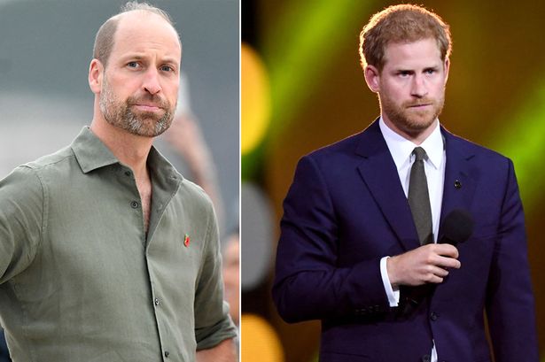 Prince William / Prince Harry