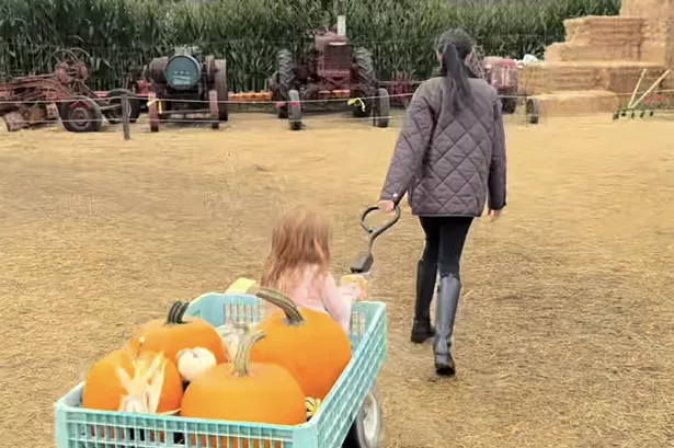 Harry and Megan at a pumpkin patch 