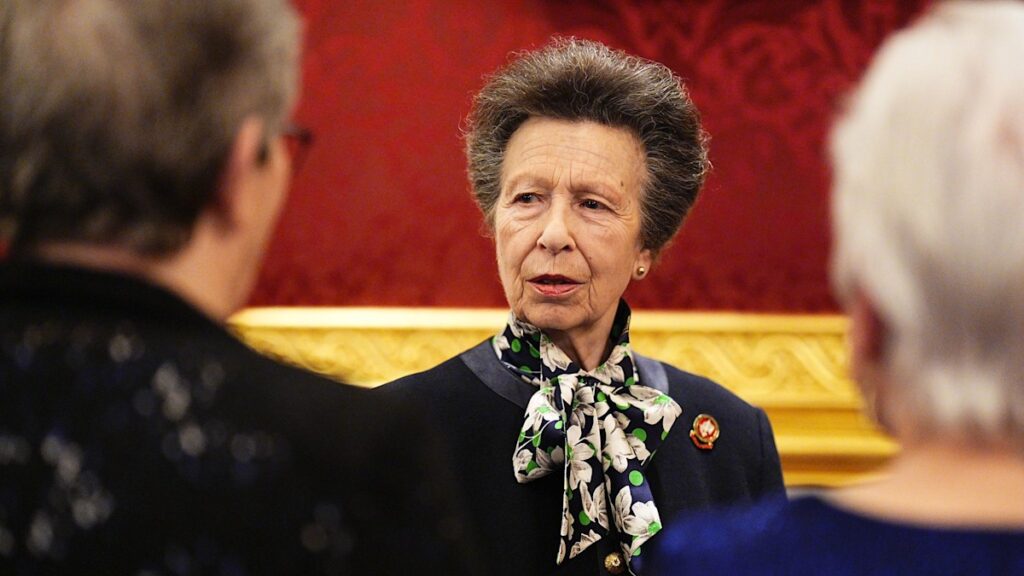 Princess Anne dubbed the ‘absolute brick’ of the royal family Princess Anne dubbed the 'absolute brick' of the royal family