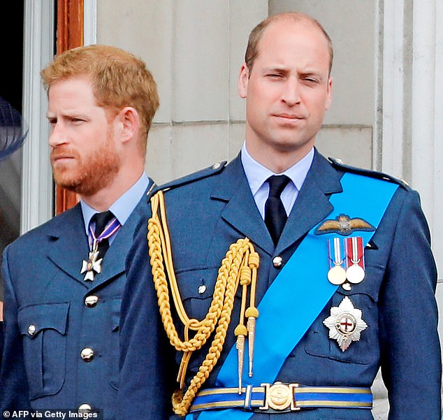 The royal brothers, pictured in 2018, have a long-reported rift which shows no sign of abating, but the Duke's spokesperson insisted the visit had been almost a year in the making