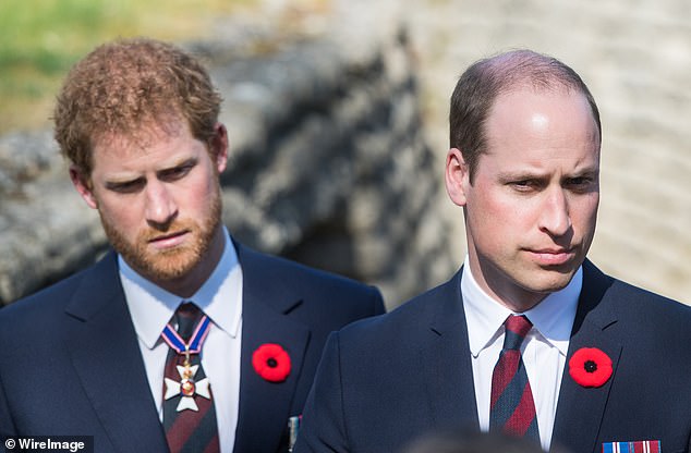 William was said to have attempted to caution his brother about the pace of his relationship with Meghan