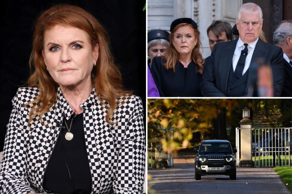 Expert says Sarah Ferguson is ‘shaken to the core’ over ex-Prince Andrew’s Epstein fallout Expert says Sarah Ferguson is 'shaken to the core' over ex-Prince Andrew's Epstein fallout