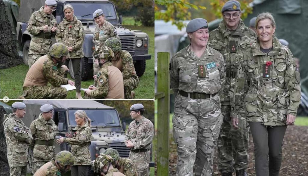 Royal family shares update on Duchess Sophie amid Andrew-Ferguson crisis
