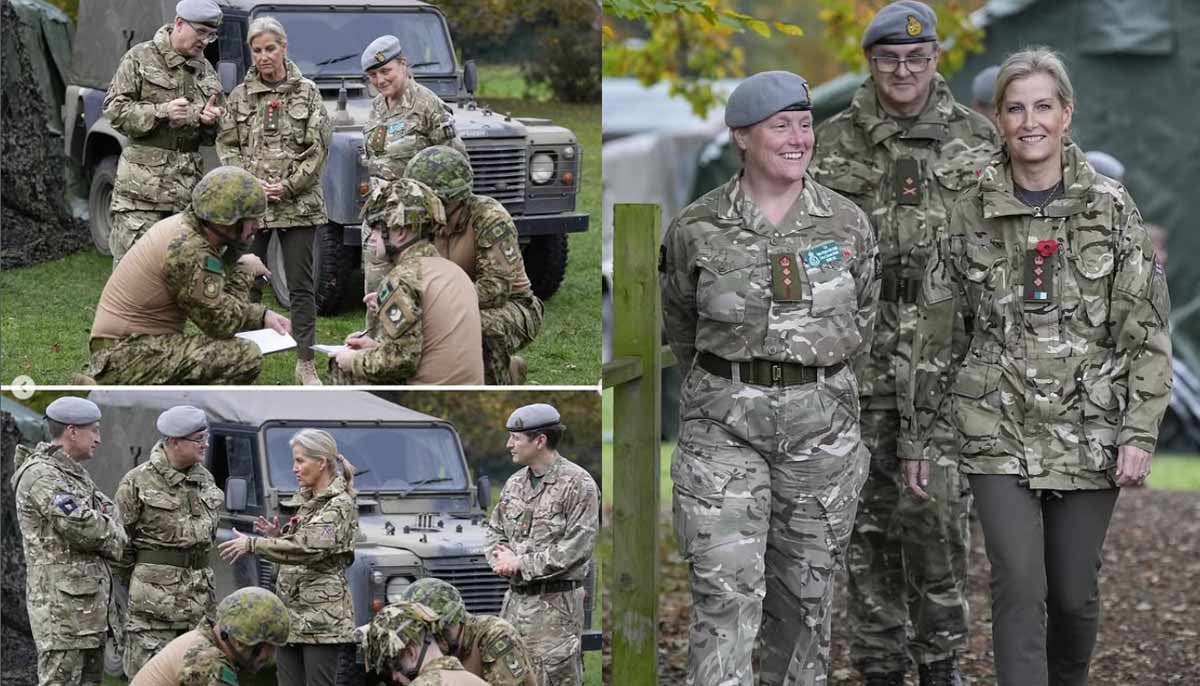 Royal family shares update on Duchess Sophie amid Andrew-Ferguson crisis 