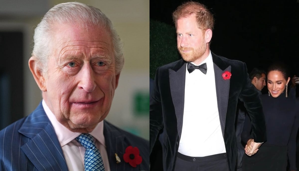 Prince Harry joins King Charles on Remembrance Day: 'solidarity'