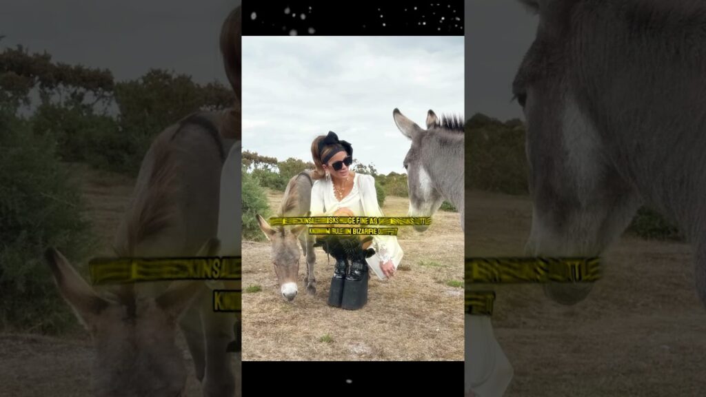 Kate Beckinsale Faces £1000 FINE After This Wild Pony Photo Shoot! 🐴 #Shorts