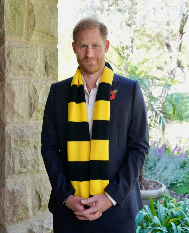 Prince Harry in a Scotty's Little Soldiers scarf