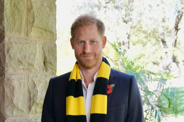 Prince Harry in a Scotty's Little Soldiers scarf
