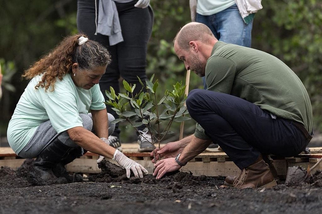 Two people kneel to plant a tree seedling.