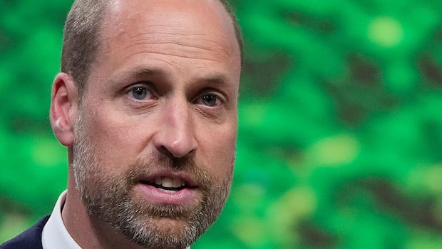A prince under pressure: Why there's so much at stake for William as the monarchy faces scandal