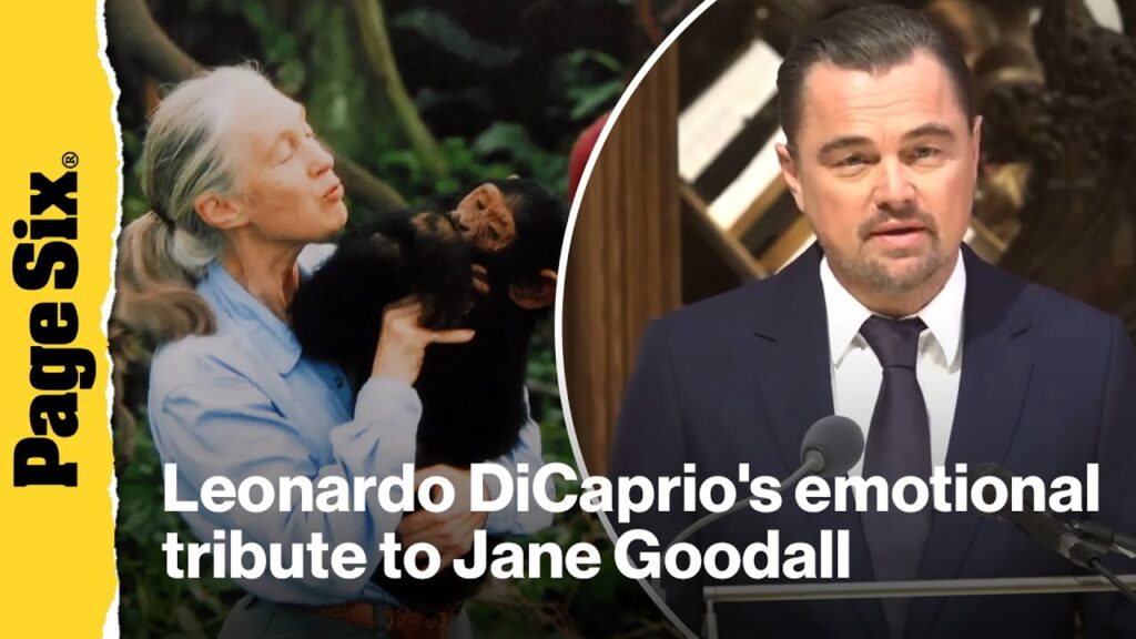 Leonardo DiCaprio gives emotional tribute to Jane Goodall at DC funeral