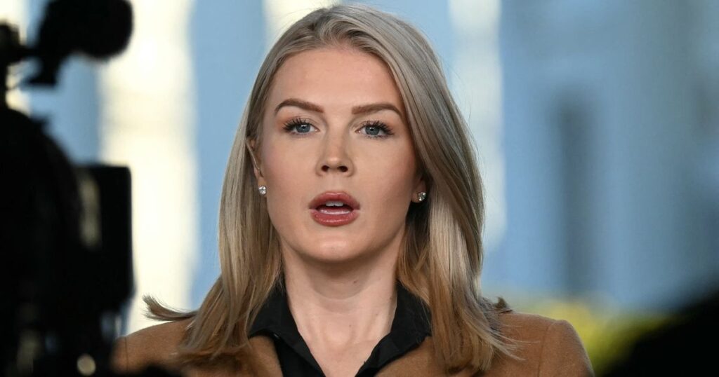 Karoline Leavitt ruthlessly trolled as critics react to family member’s ICE arrest The Mirror US