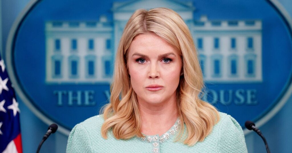 ‘Hypocrite’ Karoline Leavitt ruthlessly trolled online after family member arrested by ICE Irish Star