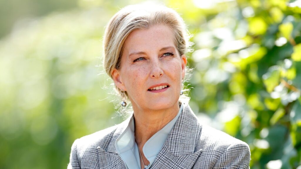 Duchess Sophie quietly begins 9-day trip to South and Central America amid royal family saga Duchess Sophie quietly begins 9-day trip to South and Central America amid royal family saga