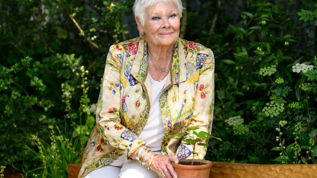 Beloved Actress, 90, Says She’s ‘Hopeless’ as Eyesight Worsens Yahoo lifestyle home