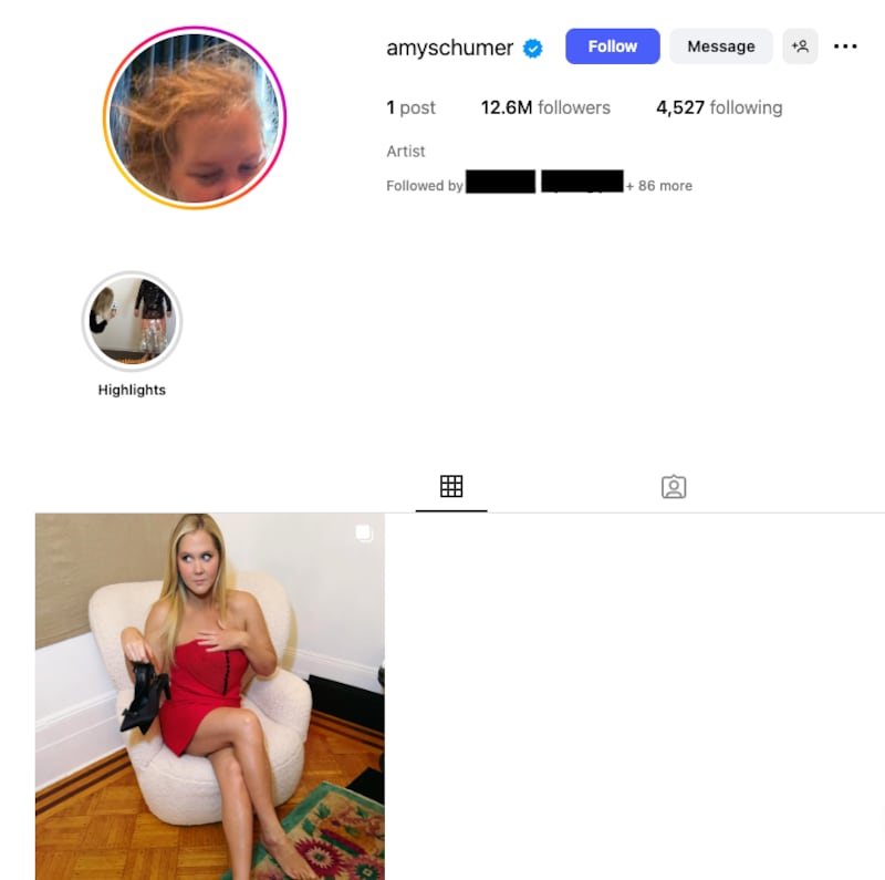 A screengrab of Schumer's Instagram page following her full account wipe.