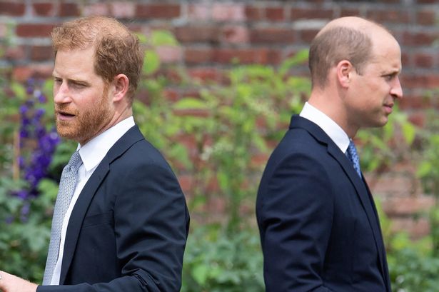 Prince William and Prince Harry have been estranged for several years