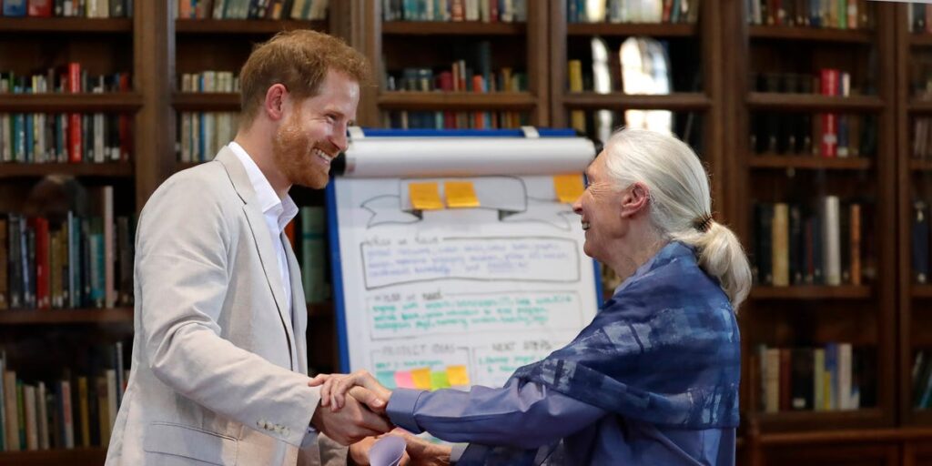 Prince Harry and Meghan Markle Skip Jane Goodall’s Funeral Prince Harry and Meghan Markle Skip Jane Goodall’s Funeral