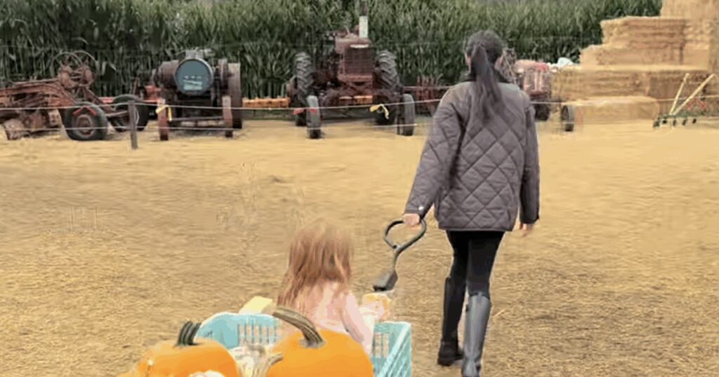 Meghan warned about new venture amidst Prince Harry's family concerns - Royals - News