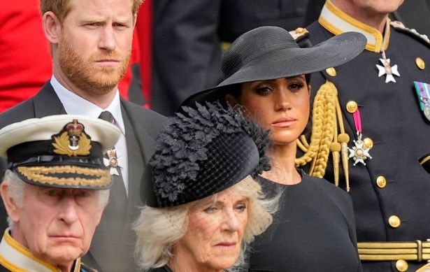 Prince Harry, Meghan Markle, King Charles and Queen Camilla
