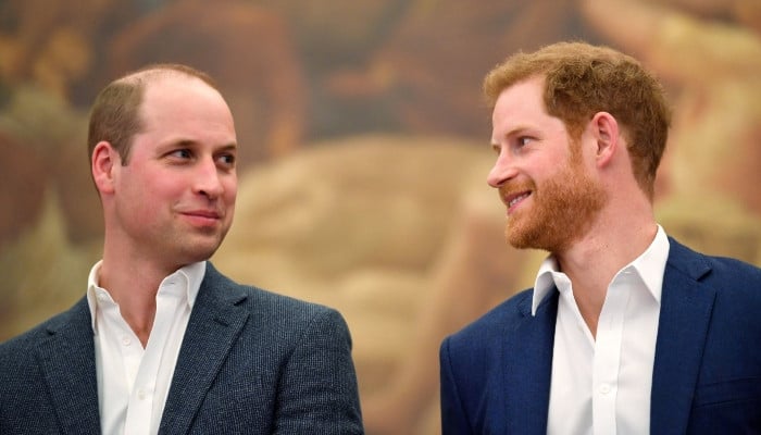 Prince William's childhood dream, stark contrast to Prince Harry revealed